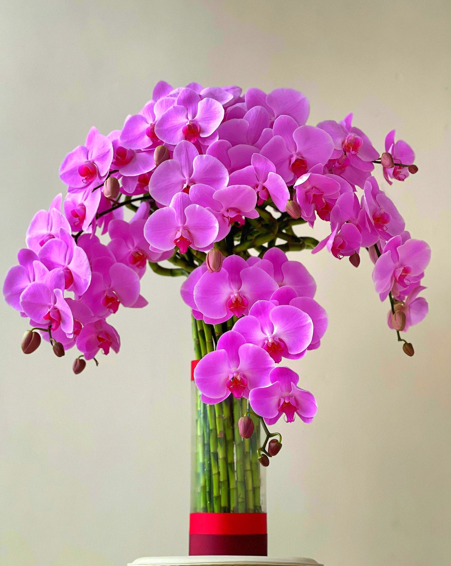 心想事成 May All Your Wishes Come True