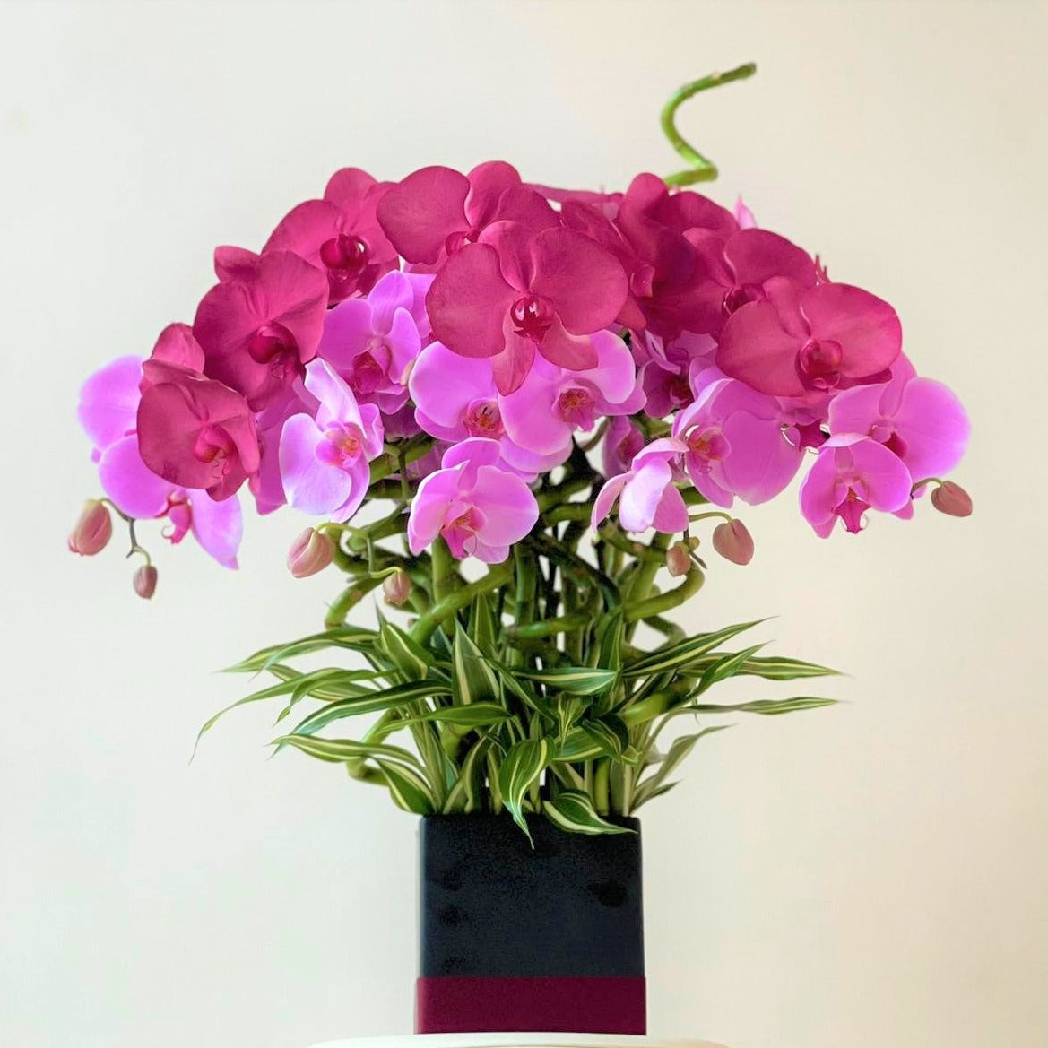 January - 恭喜發財 Kung Hei Fat Choy