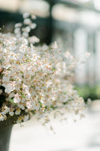Load image into Gallery viewer, Wedding Flowers

